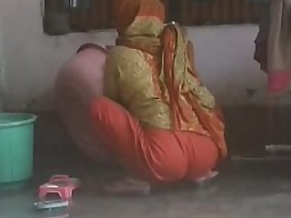 গাধা সরস অভিন্ন